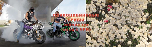 Альфа ПВП Володарск